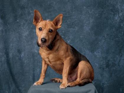 Egon - Gnadenplatz gesucht - lieb verschmust