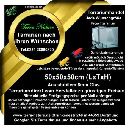 Frosch- Terrarien Dendrobaten- Terrarium 50x50x50 LxTxH