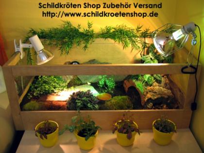 Schildkröten Shop Landschildkröten Zubehör Versand