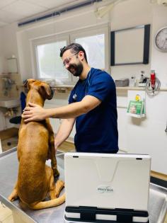 Tier-Untersuchung zum Sonderpreis Kleintierpraxis VETPETCARE Frankfurt