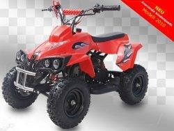 49cc Kinder QUAD