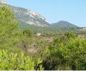 LANDHAUS in Spanien / LORCA