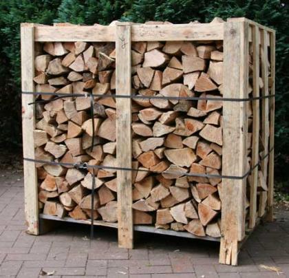 Brennholz - Kaminholz aus Polen