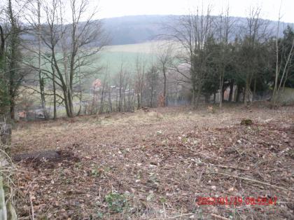 Exkl. Grundstück 960qm im Herrenwäldchen prov. frei zu verkaufen