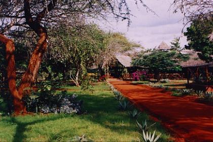 Aussteiger Wildlife Lodge mit Tierpark und Wildtierzucht zu vermieten