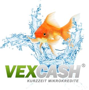 Wir suchen ab sofort einen Web-Entwickler . NET m/w Anwendungsprogrammierer/in