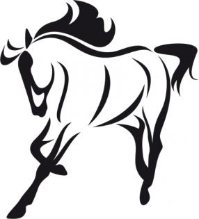 Schwierigkeiten mit dem Pferd/Pony