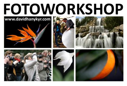 Fotoworkshop und Fotokurse in Essen NRW
