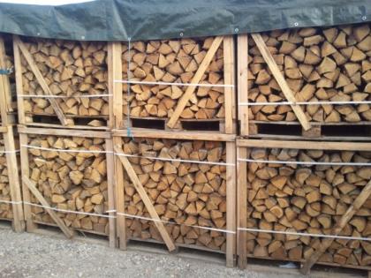 Buche hainbuche eiche