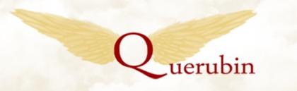 Wir suchen SIE als Verstärkung für unser Beraterteam bei Querubin
