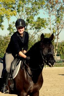 Reitunterricht und Berittpferde - Trainer A -