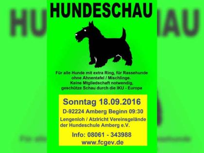 Oberpfälzer - Siegerschau CAC am 18. September 2022