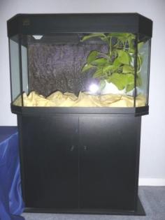 Juwel Aquarium Panorama 80
