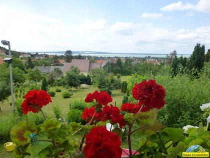 Einfamilienhaus mit Seeblick