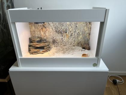 Neuwertiges Terrarium von Lanzo