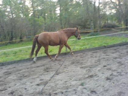 RB in Rudow western