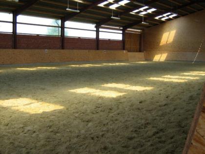 Stallgemeinschaft in Castrop-Rauxel hat noch Boxen frei