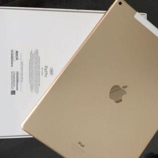 Apple 9. 7-inch iPad - Wi-Fi - 32 GB - Gold - 24 6 cm/ 9 7 Zoll