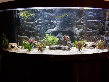 450l Aquarium Juwel Vision mit Unterschrank Zubehör