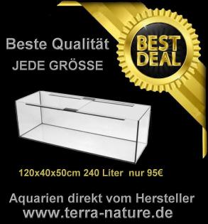 Aquarium 120x40x50cm 240 Liter nur 95Euro Sonderangebot
