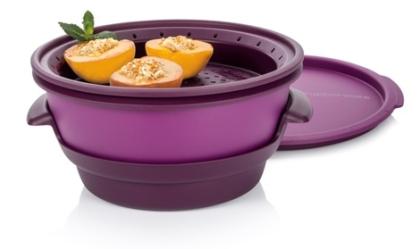 Micro Gourmet Dampfgarer neu