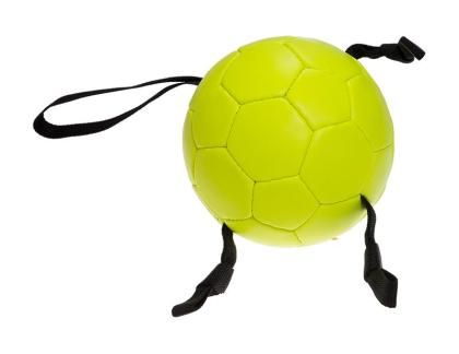 Aufgepumpter Ball für kleine und große Hunde Hundeball Spielzeug