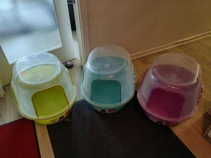 Katzentoiletten bunt von Petphabet mit Haube