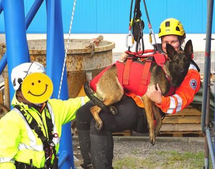 Malinois Welpen SoulGuideDogs X-Mechelaar