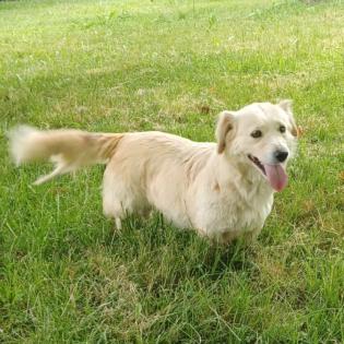 Nancy / Status sucht ein Zuhause