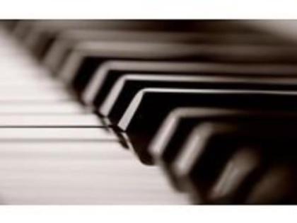 Pianist und Akkordeonist .
