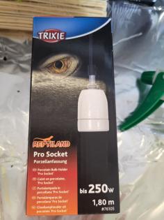 Geckos und Terrarium