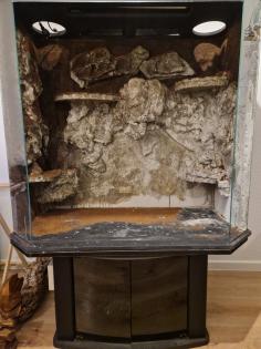 Kettennatter inklusive Terrarium