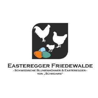 Küken vom Schweizerhuhn - Schlupf 22. 07. 2023