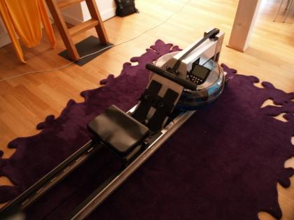 Water Rower S1 Rudergerät Edelstahl