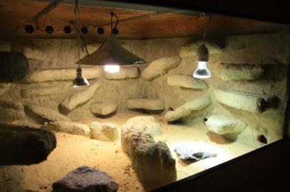 Terarium 1mX1mX0 62m