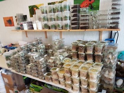 40 verschiedene Futtertiere aus Erfurt.