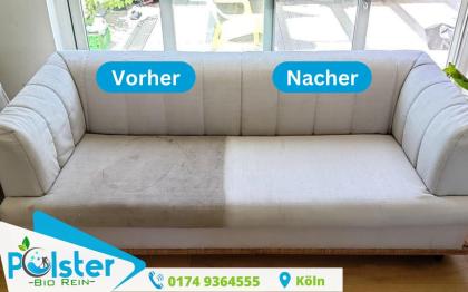 Professionelle Polsterreinigung in Köln