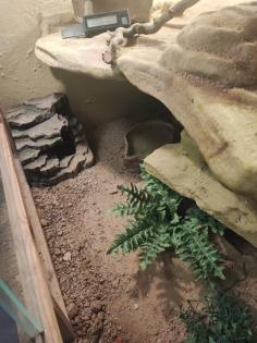 Vk Terrarium 120x80x80cm mit deko