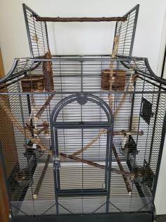 Montana Madeira ll Antik Vogelkäfig