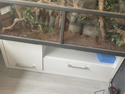 Albino Kornnatter Terrarium sowie Unterschrank und Zubehör