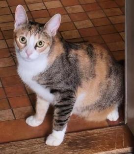 Lola - Die schöne Lola möchte Einzelprinzessin sein