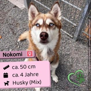 Nokomi - freundlich ruhig