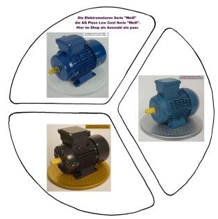 Elektromotor Weiß / Elektromotor Silber / Elektromotor Gold die 3 Serien von AQ Pluss Motoren