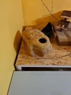 Terrarium 150x80x80 Verkauf Top Zustand