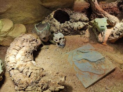 Bartagame m mit großem Terrarium Quarantäneterrarium inkl. Beleuchtung und viel Zubehör