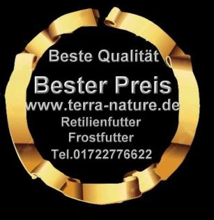 Reptilienfutter Maus Heuschrecken Ratte Heimchen alle Futtersorten Frostfutt