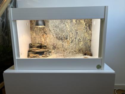Neuwertiges Terrarium von Lanzo