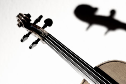 GEIGENUNTERRICHT VIOLINUNTERRICHT IN DÜSSELDORF