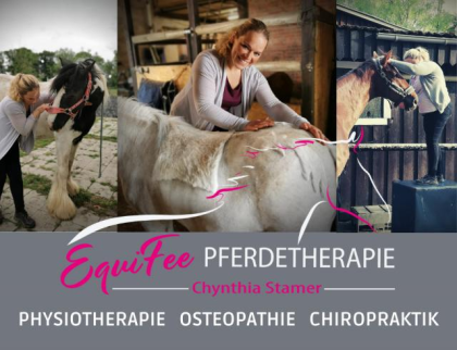 Osteopathie Physiotherapie Chiropraktik für Pferde