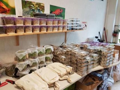 40 verschiedene Futtertiere aus Erfurt.